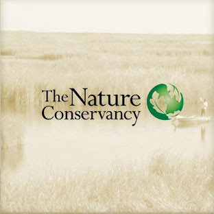 nature-conservancy